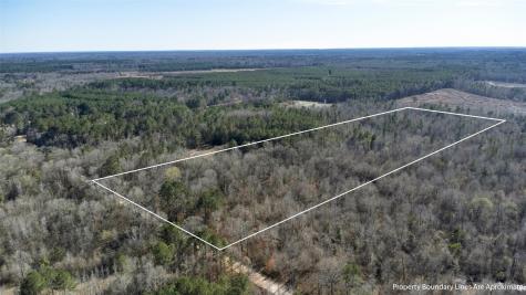 TR5 18.27 Acres County Road 3071 De Berry TX 75639