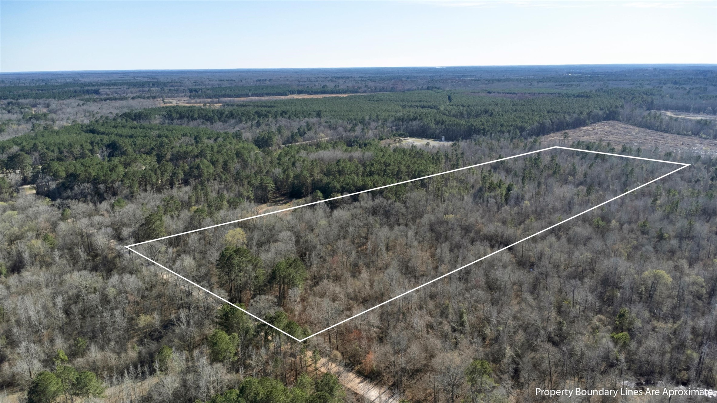TR5 18.27 Acres County Road 3071 De Berry TX 75639