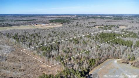 TR5 18.27 Acres County Road 3071 De Berry TX 75639