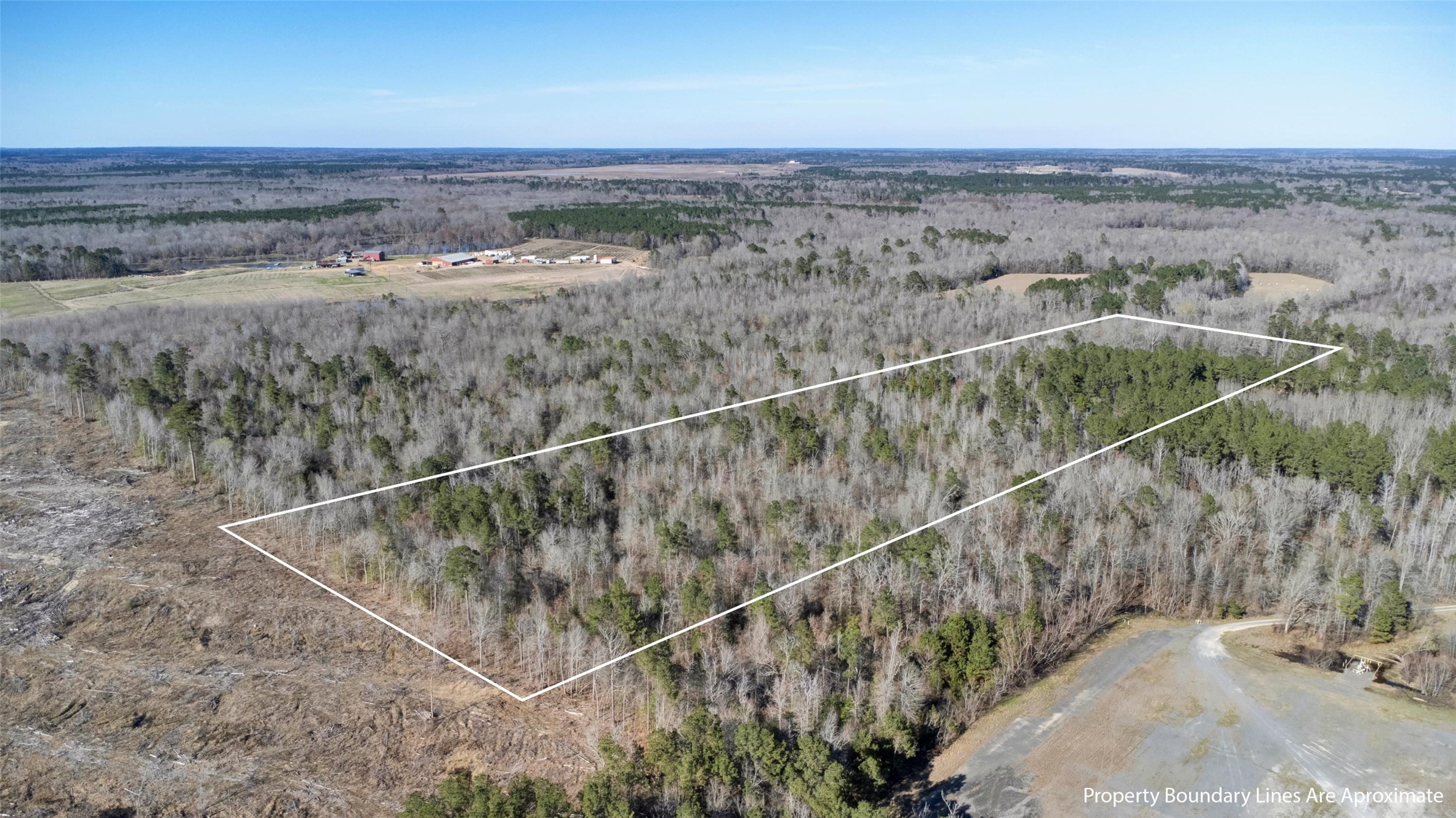 TR5 18.27 Acres County Road 3071 De Berry TX 75639
