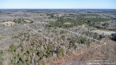 TR5 18.27 Acres County Road 3071 De Berry TX 75639