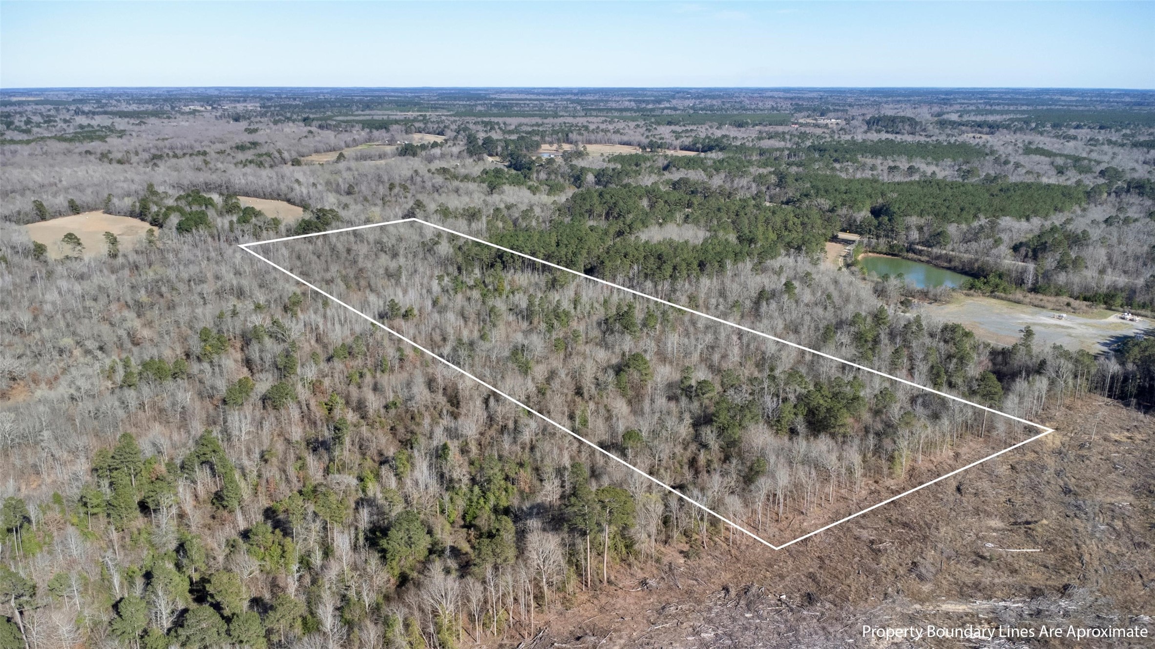 TR5 18.27 Acres County Road 3071 De Berry TX 75639