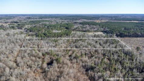 TR5 18.27 Acres County Road 3071 De Berry TX 75639
