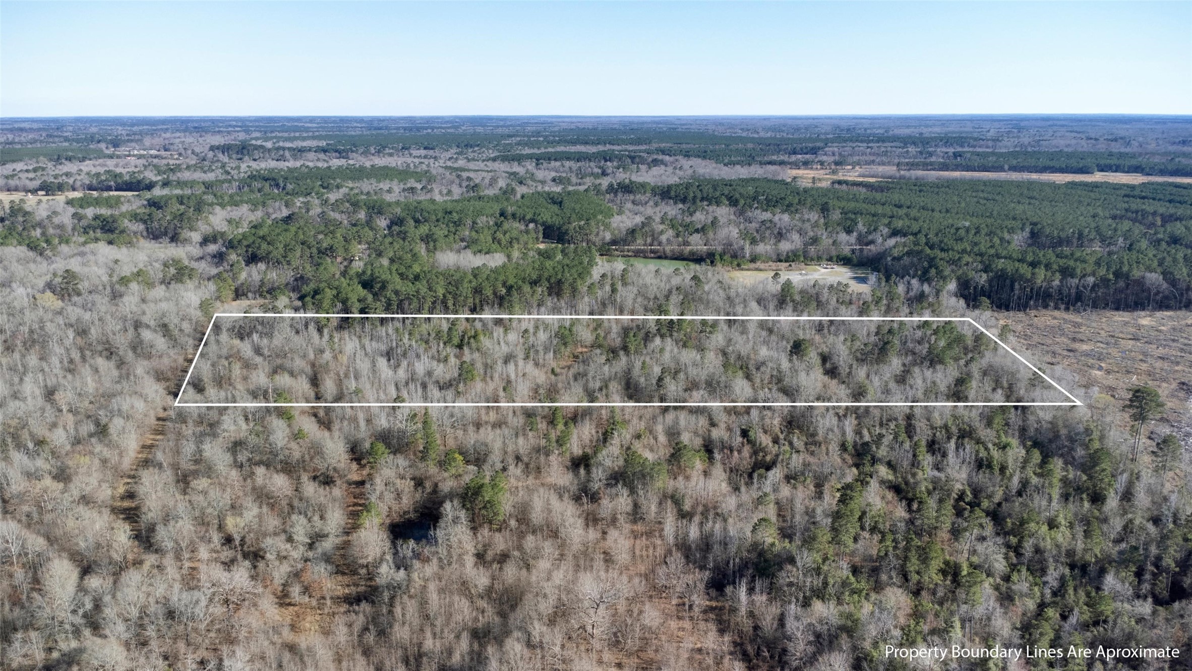 TR5 18.27 Acres County Road 3071 De Berry TX 75639