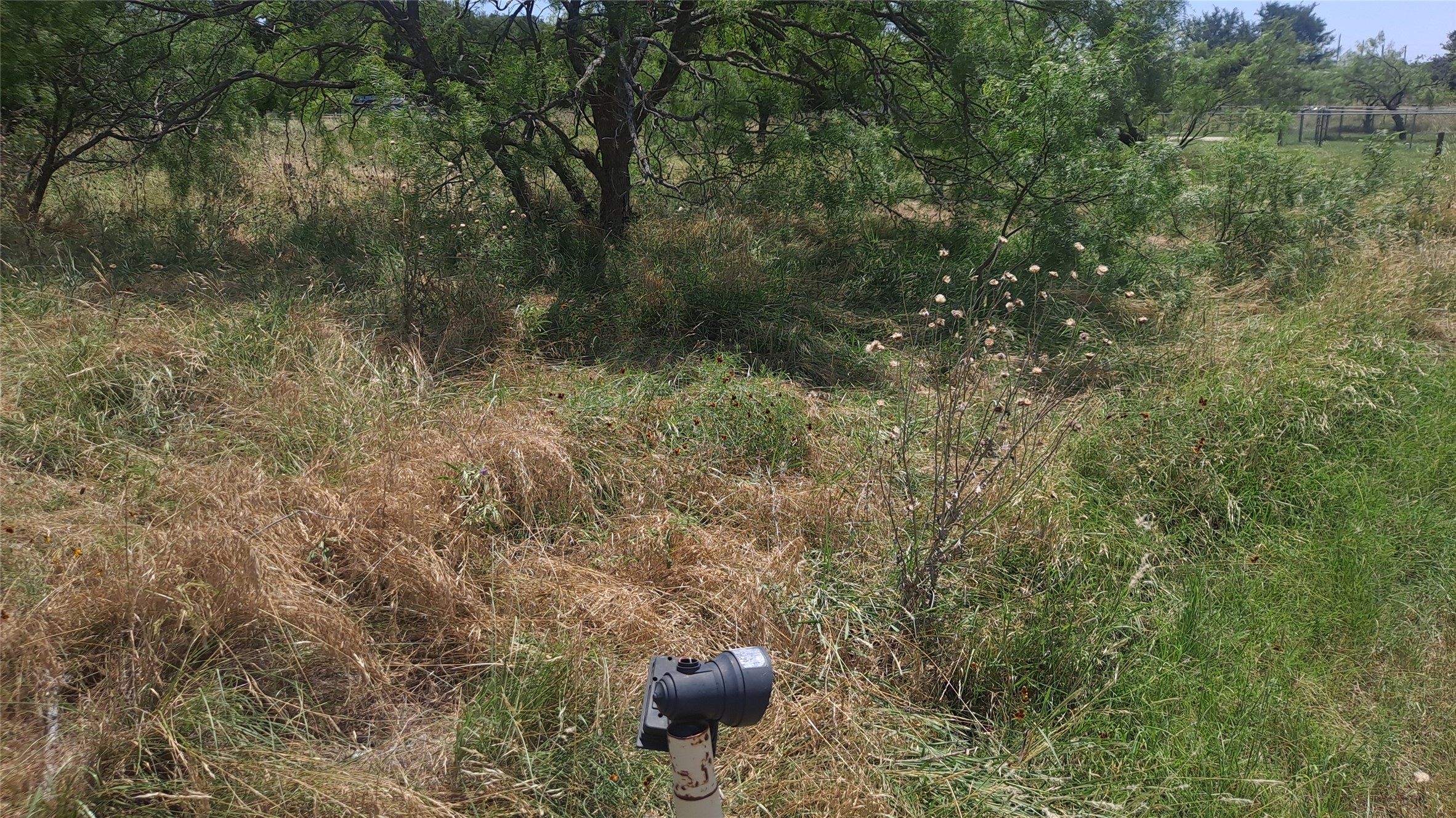 00000 Lakeside Circle May TX 76857