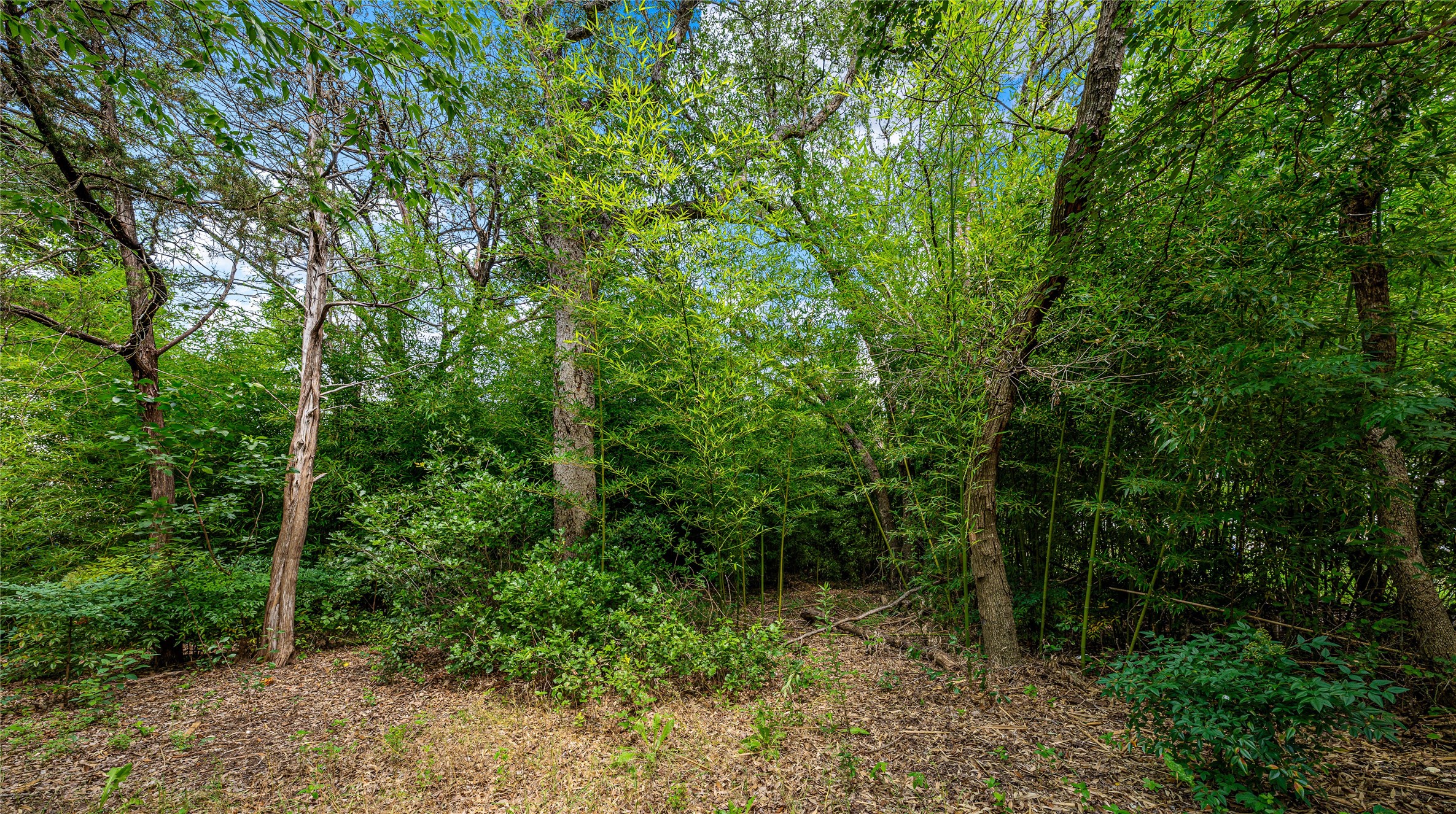 Tbd Rainbow Drive Woodway TX 76712