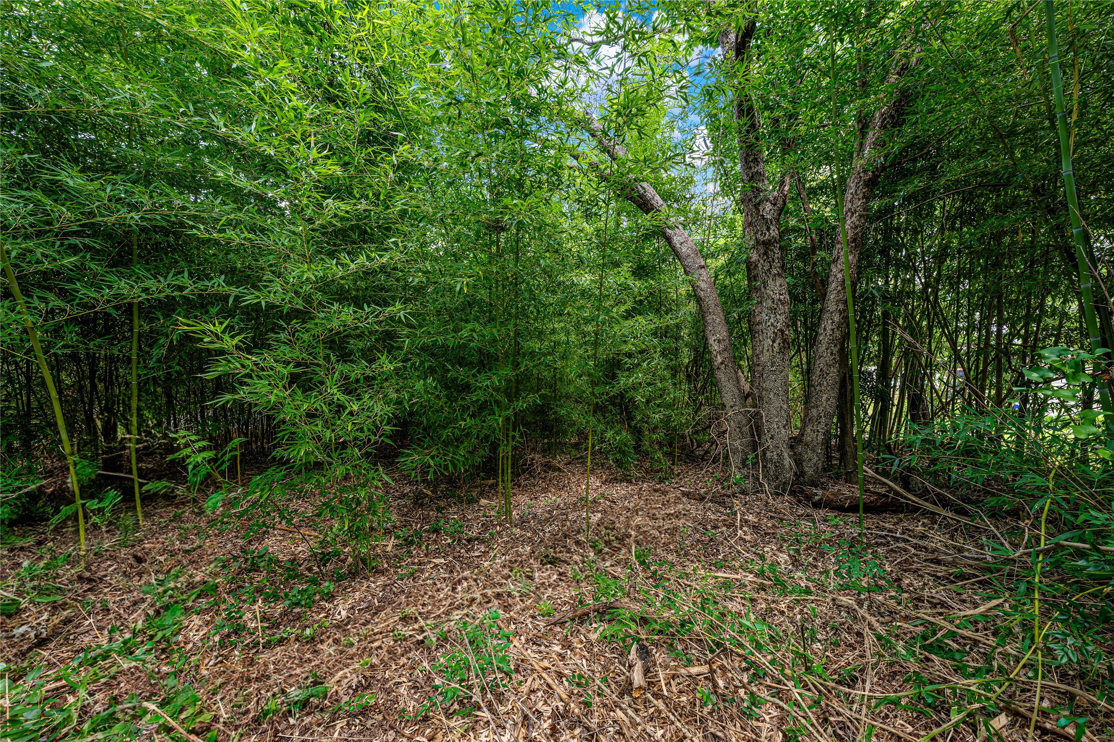 Tbd Rainbow Drive Woodway TX 76712