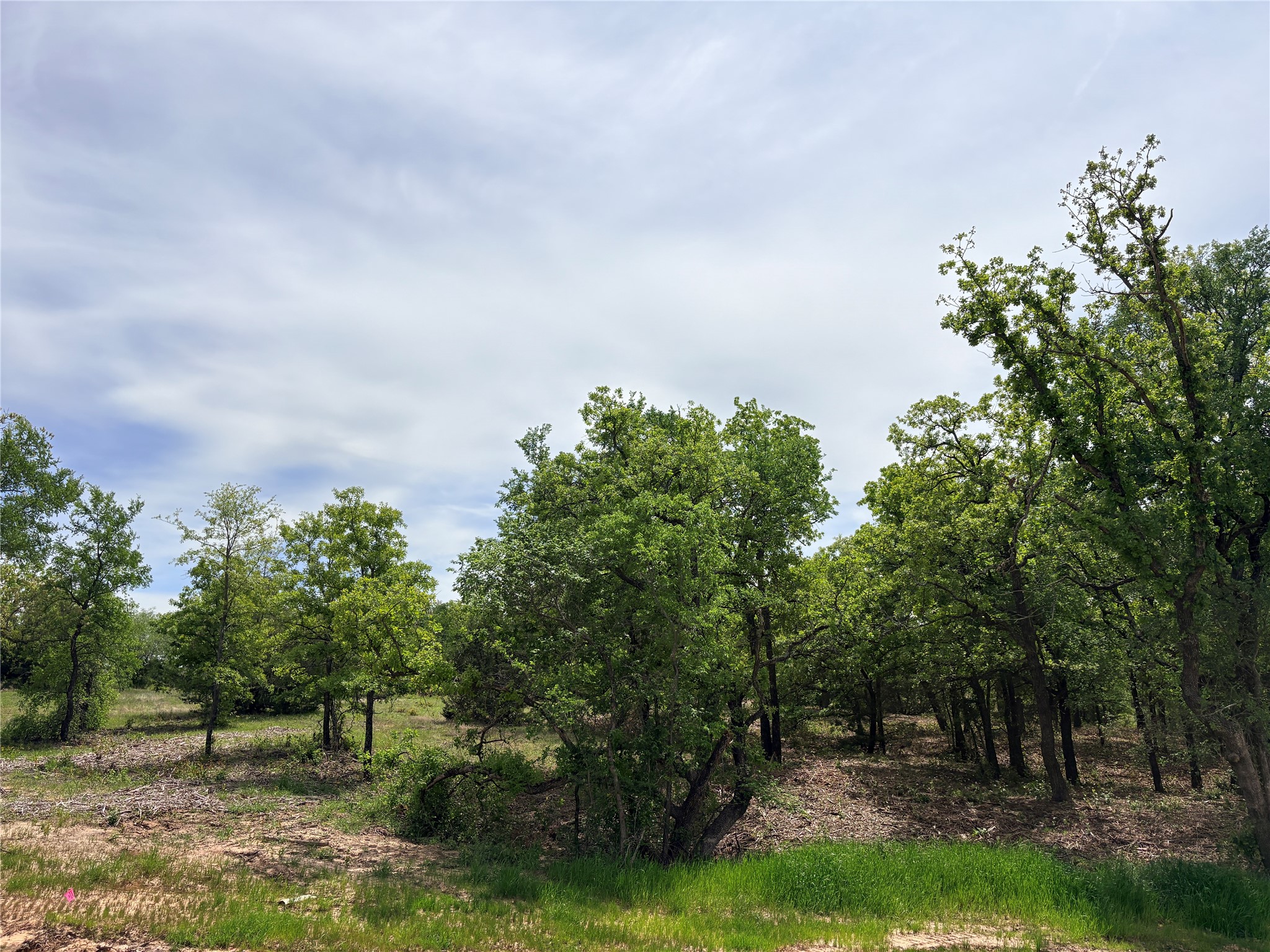 135 Turtle Back Ridge Decatur TX 76234
