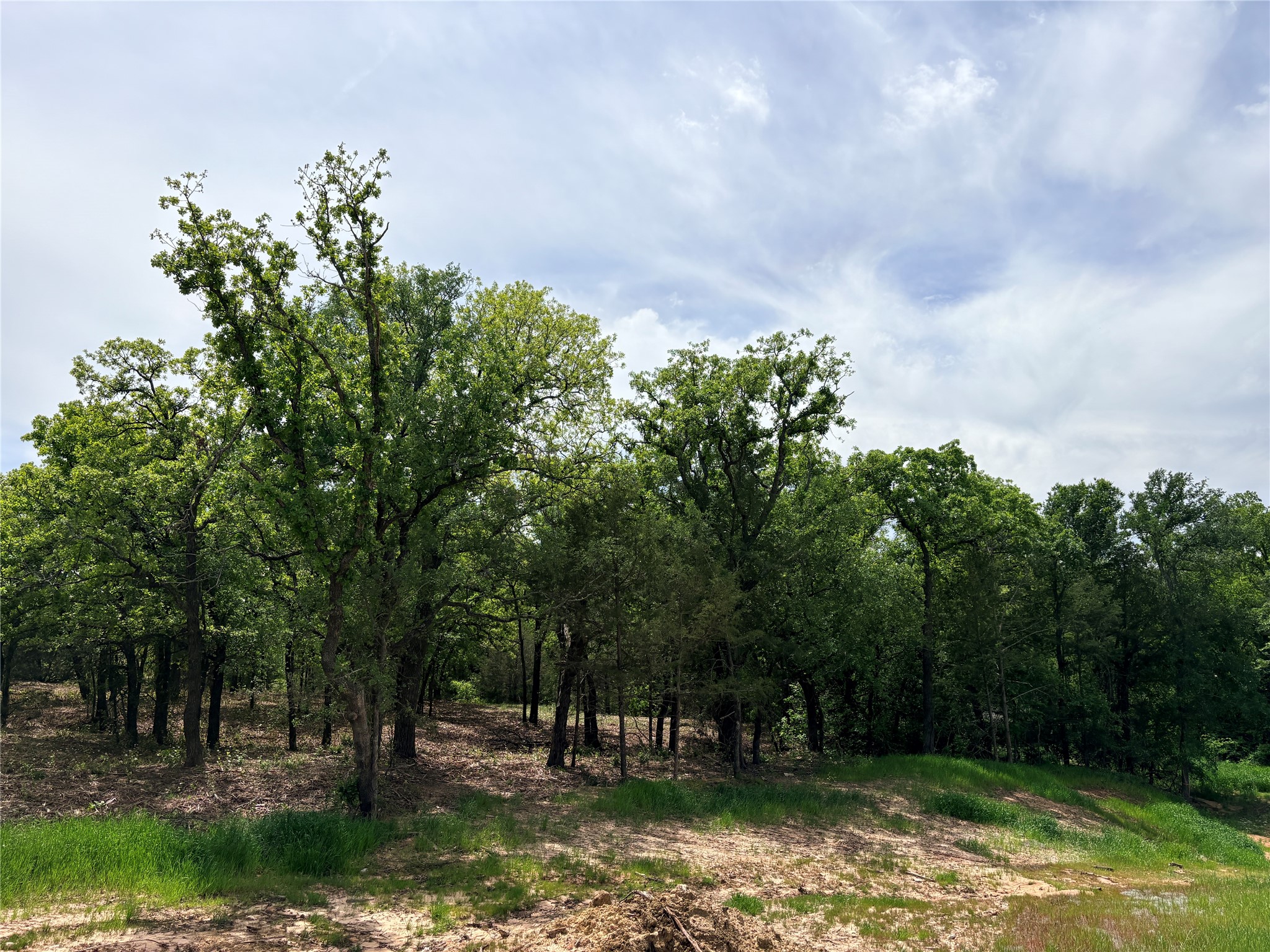 135 Turtle Back Ridge Decatur TX 76234