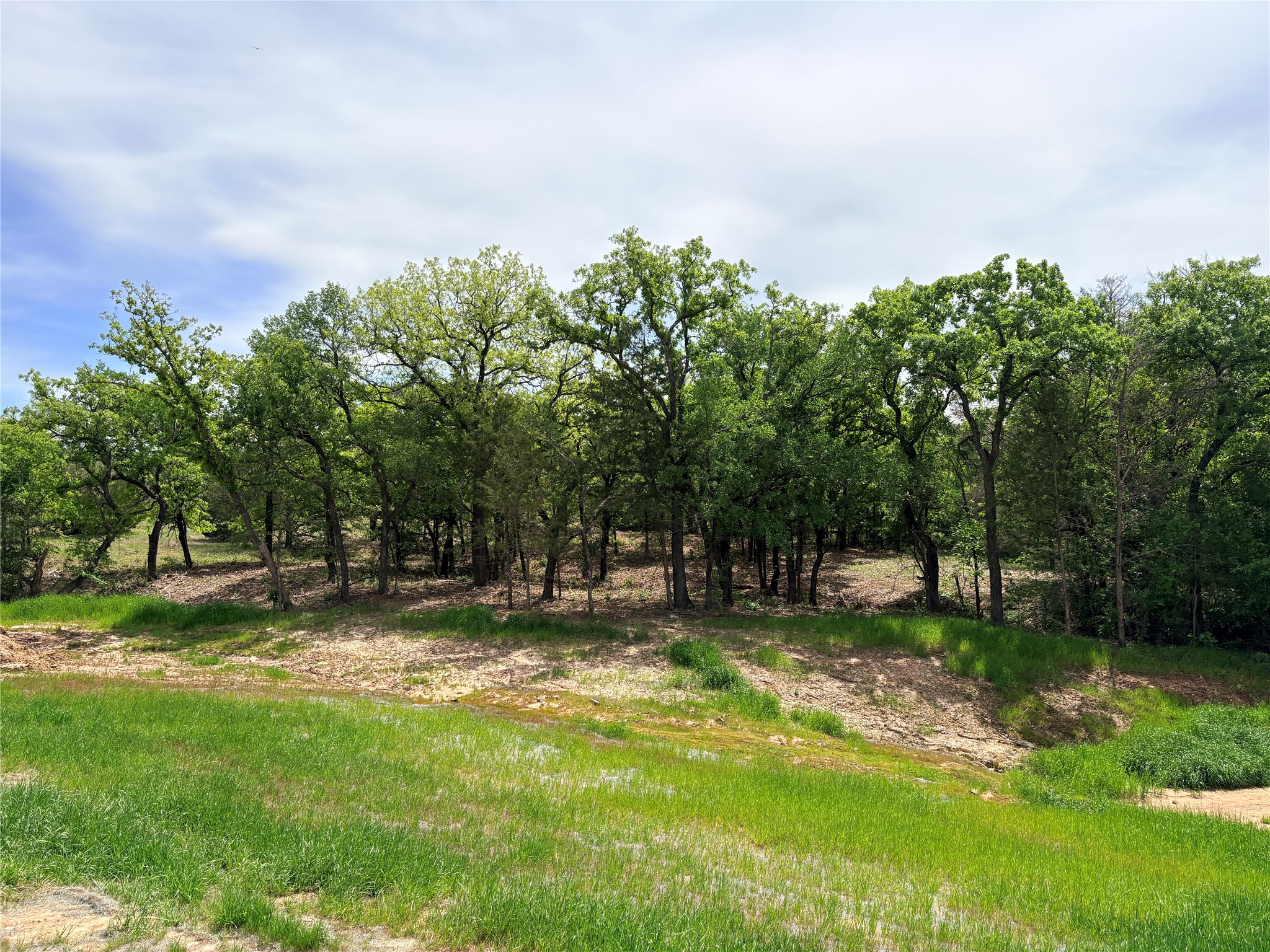 135 Turtle Back Ridge Decatur TX 76234