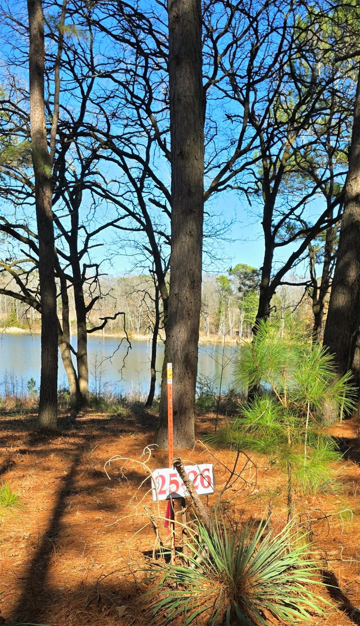 25 Private Road 6307 Mineola TX 75773
