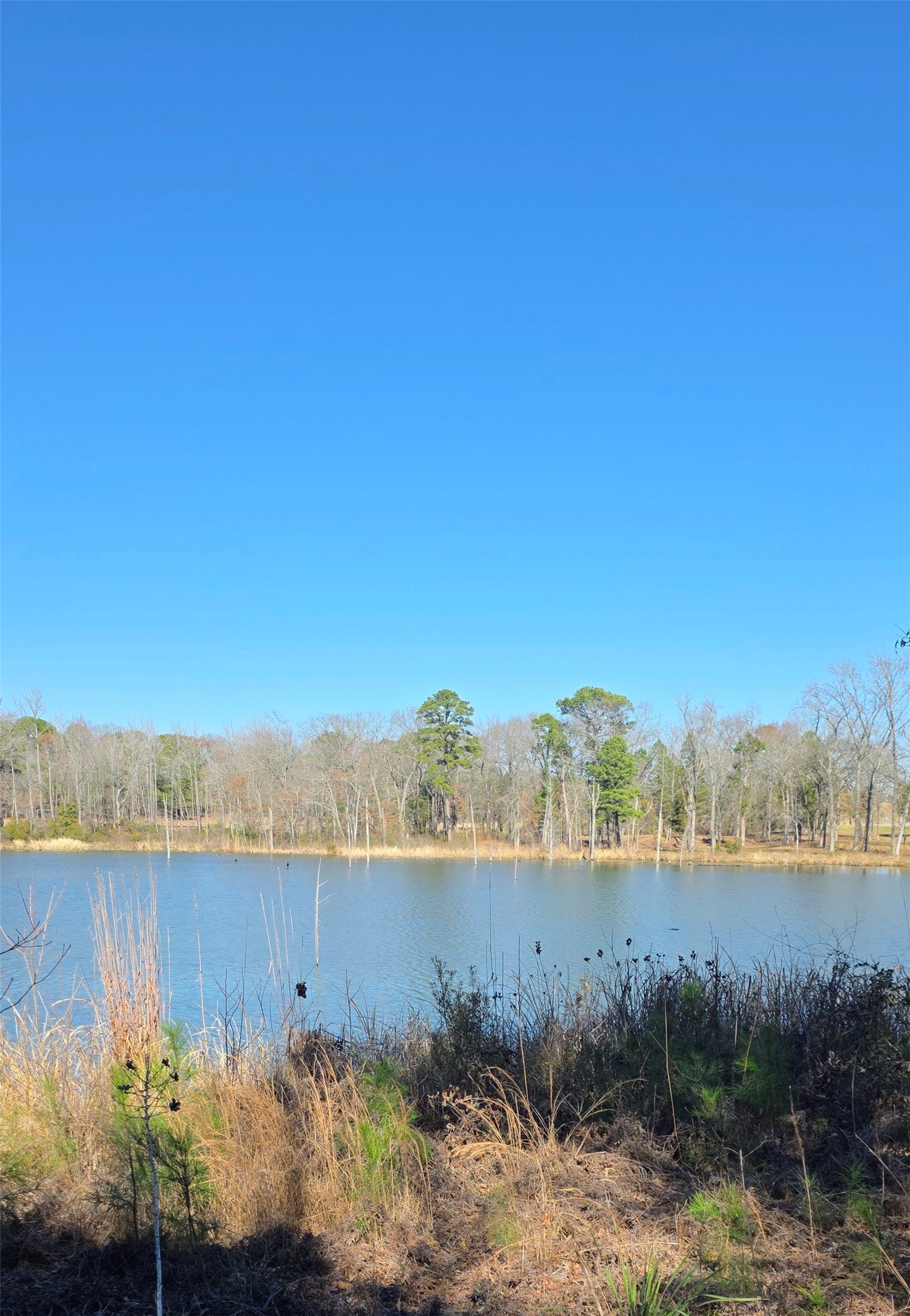 25 Private Road 6307 Mineola TX 75773