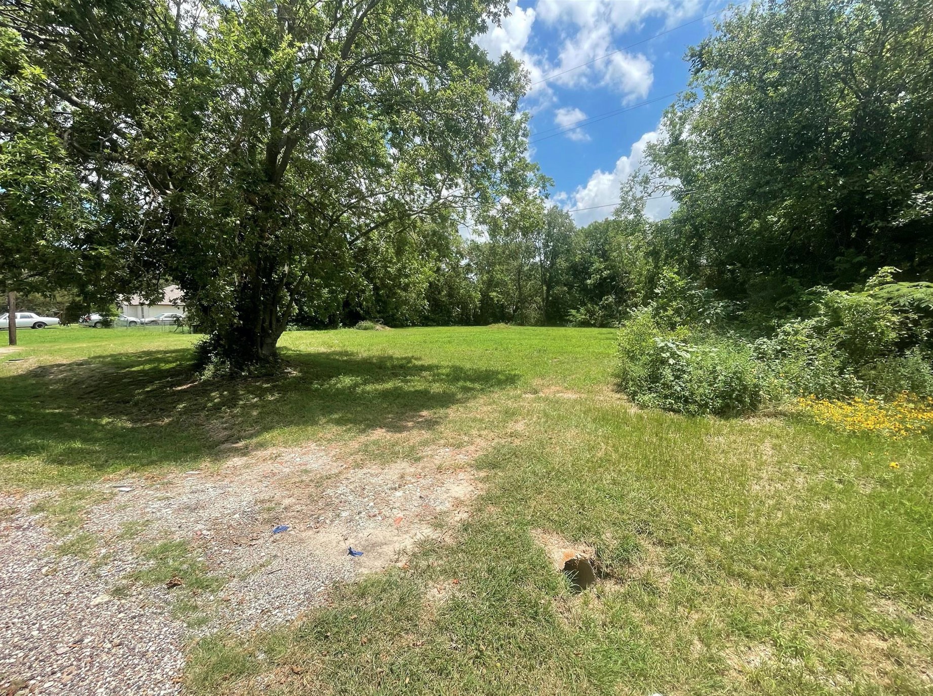 1127 W End Street Terrell TX 75160