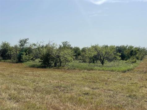 Tbd Lot 9 Fm 339 Mount Calm TX 76673