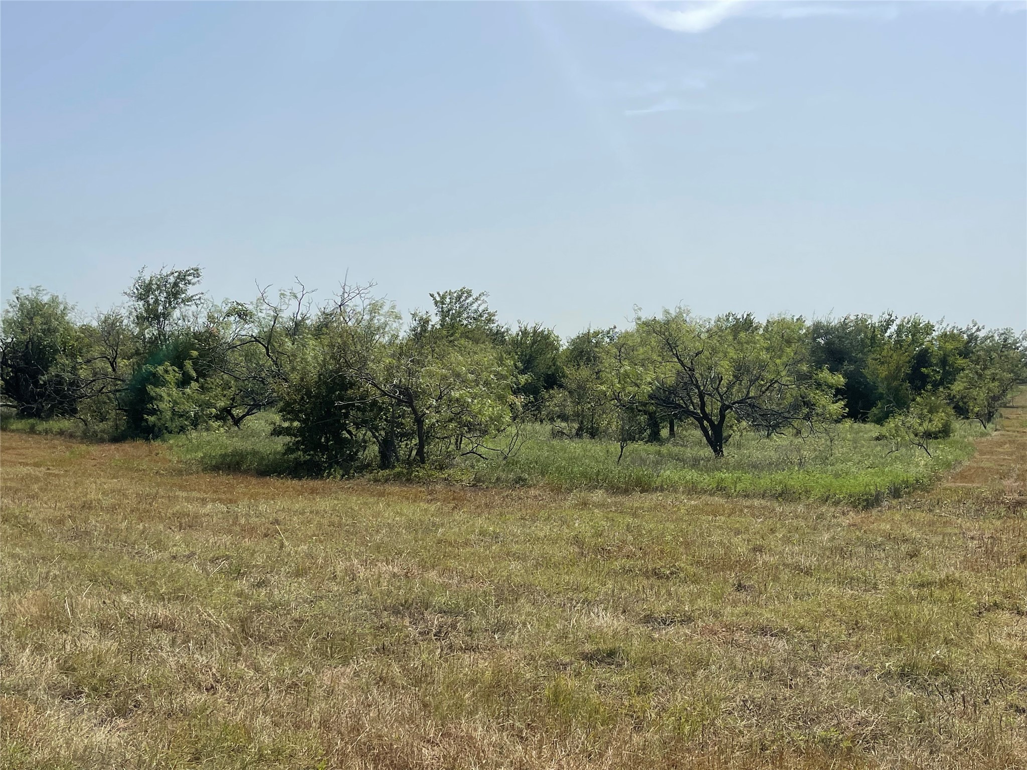 Tbd Lot 9 Fm 339 Mount Calm TX 76673