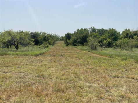 Tbd Lot 9 Fm 339 Mount Calm TX 76673