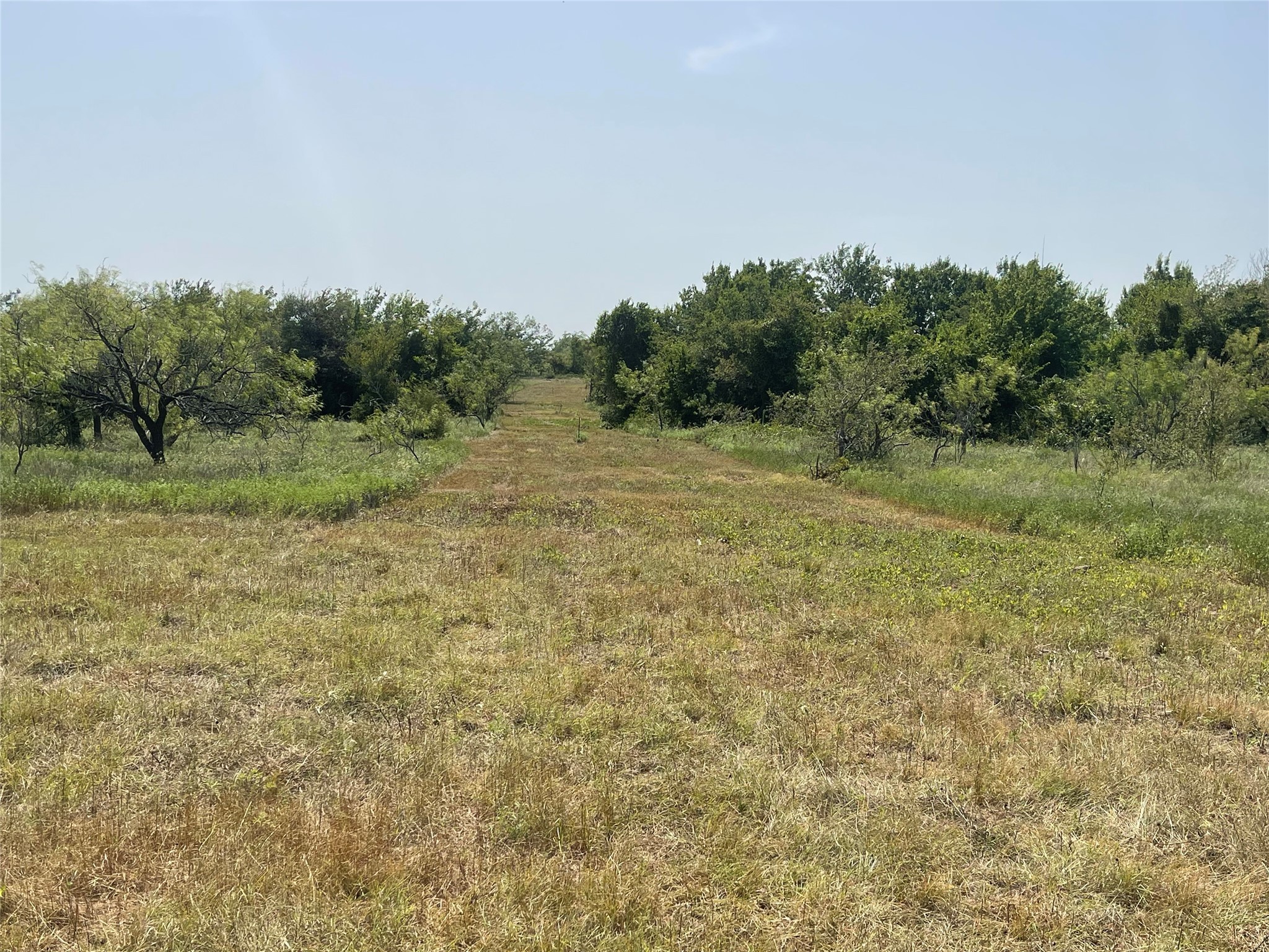 Tbd Lot 9 Fm 339 Mount Calm TX 76673