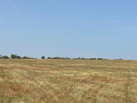 Tbd Lot 9 Fm 339 Mount Calm TX 76673