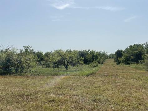 Tbd Lot 9 Fm 339 Mount Calm TX 76673