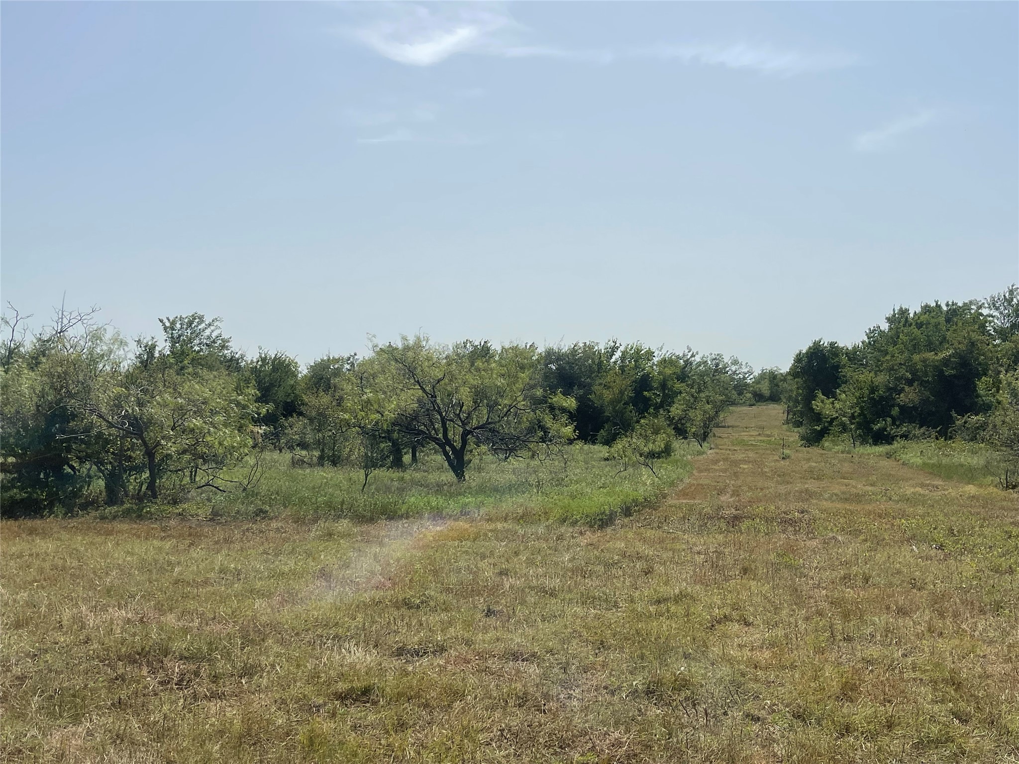 Tbd Lot 9 Fm 339 Mount Calm TX 76673