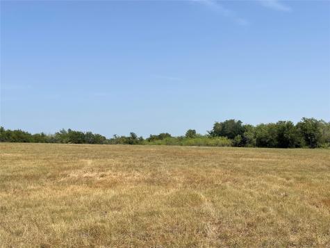Tbd Lot 9 Fm 339 Mount Calm TX 76673