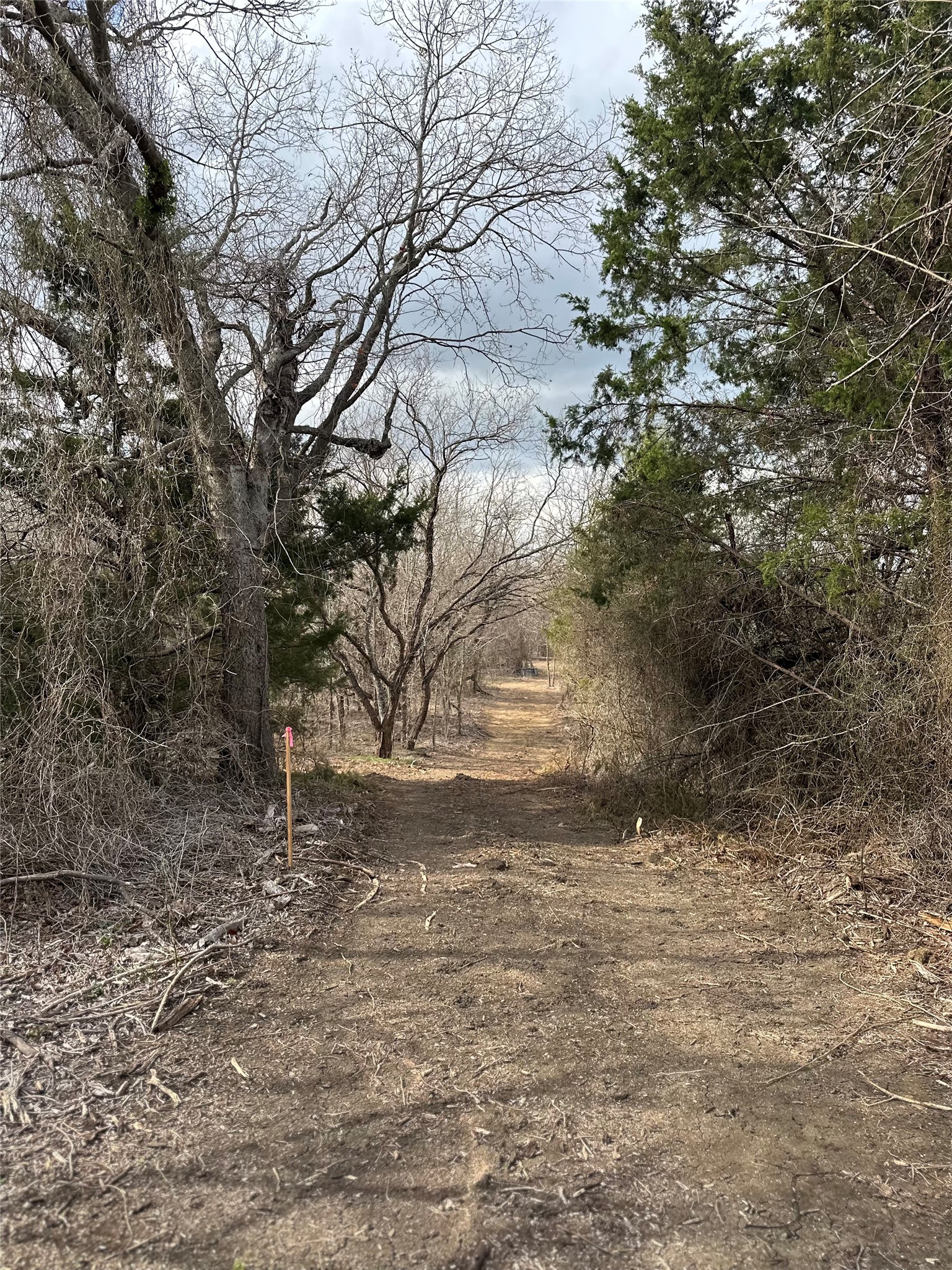 0000 Sandswitch Road Ennis TX 75119
