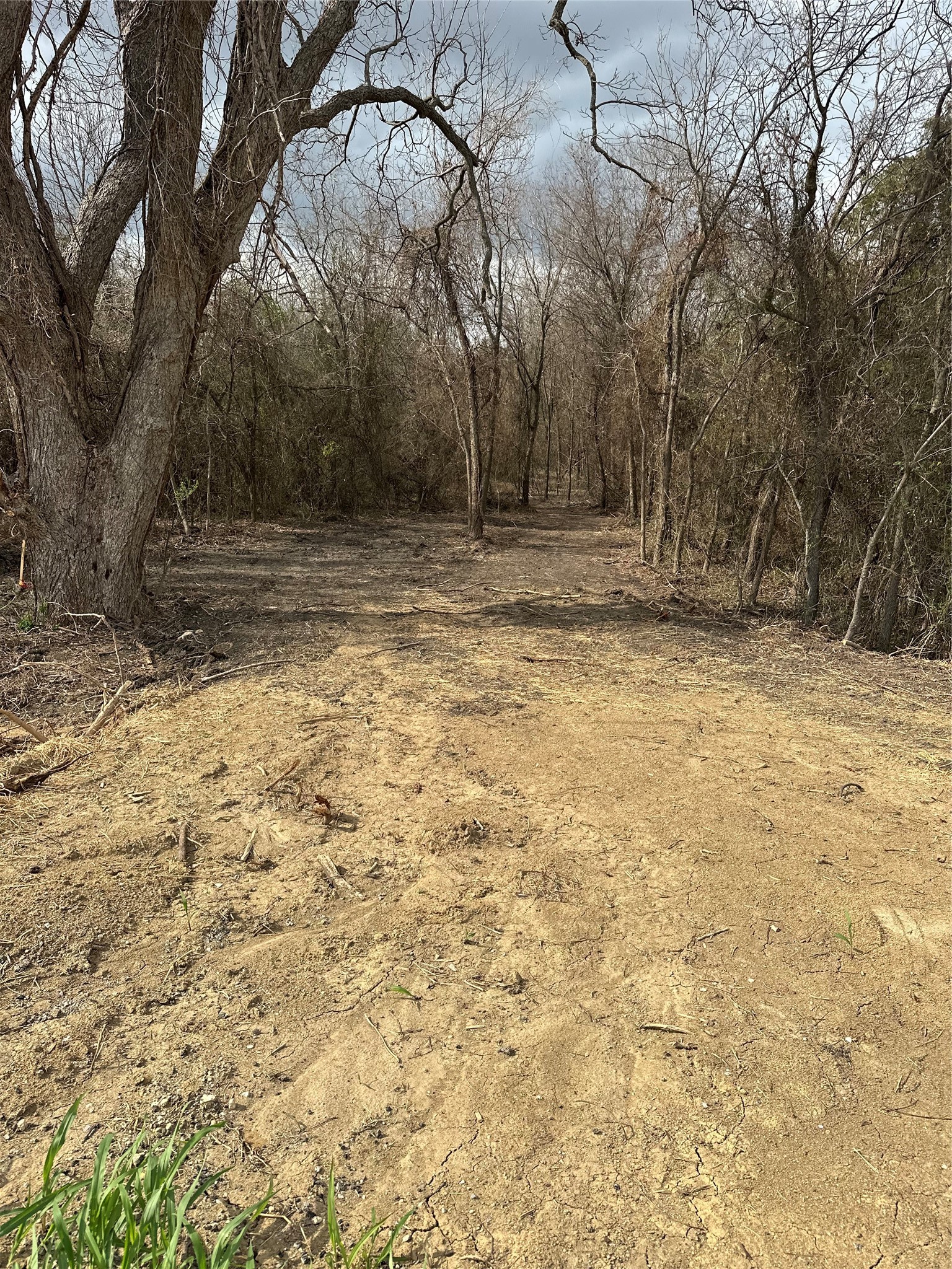 0000 Sandswitch Road Ennis TX 75119
