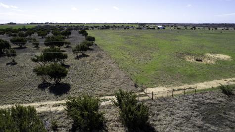 26025 S Fm 219 Dublin TX 76436
