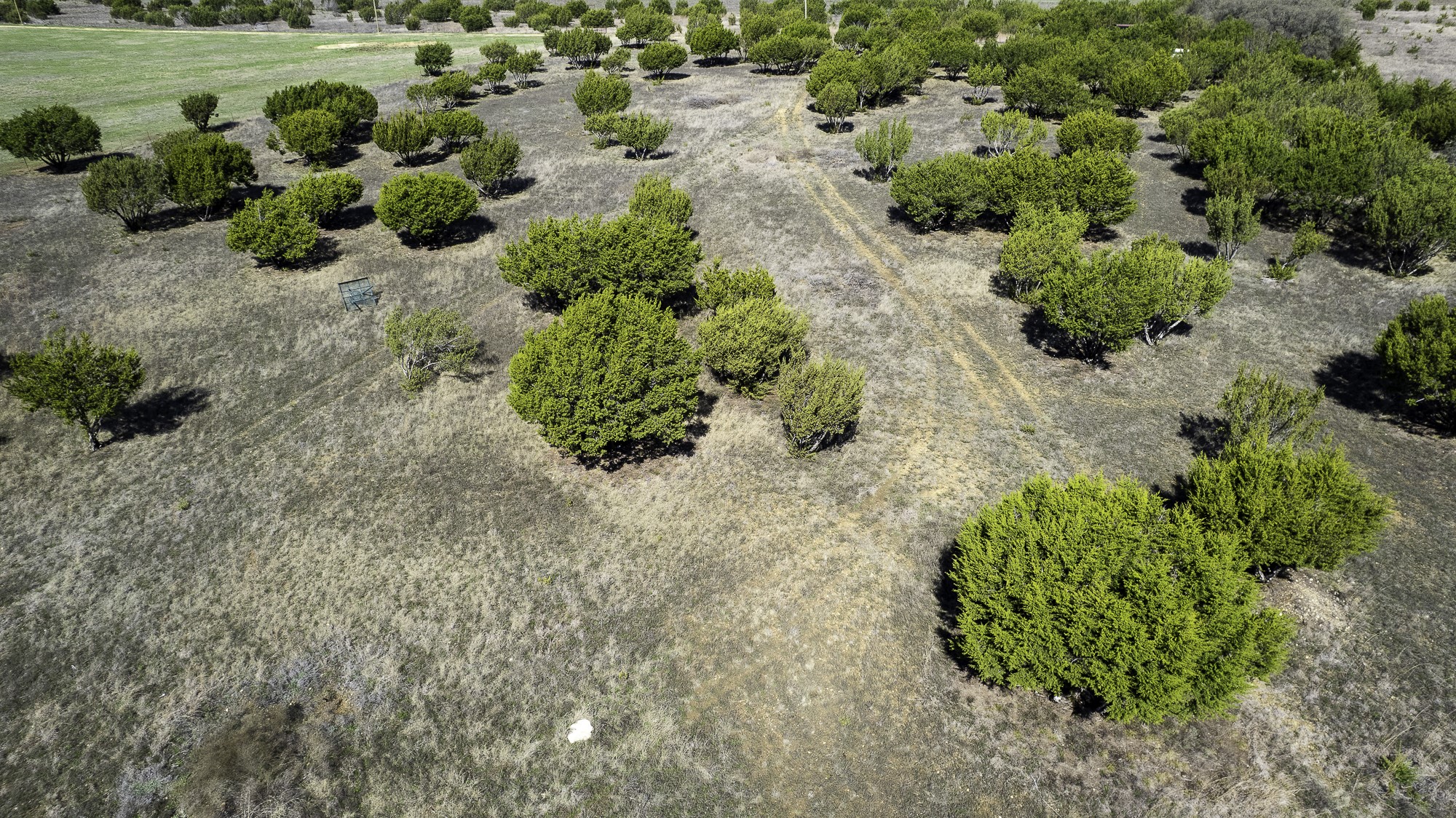 26025 S Fm 219 Dublin TX 76436