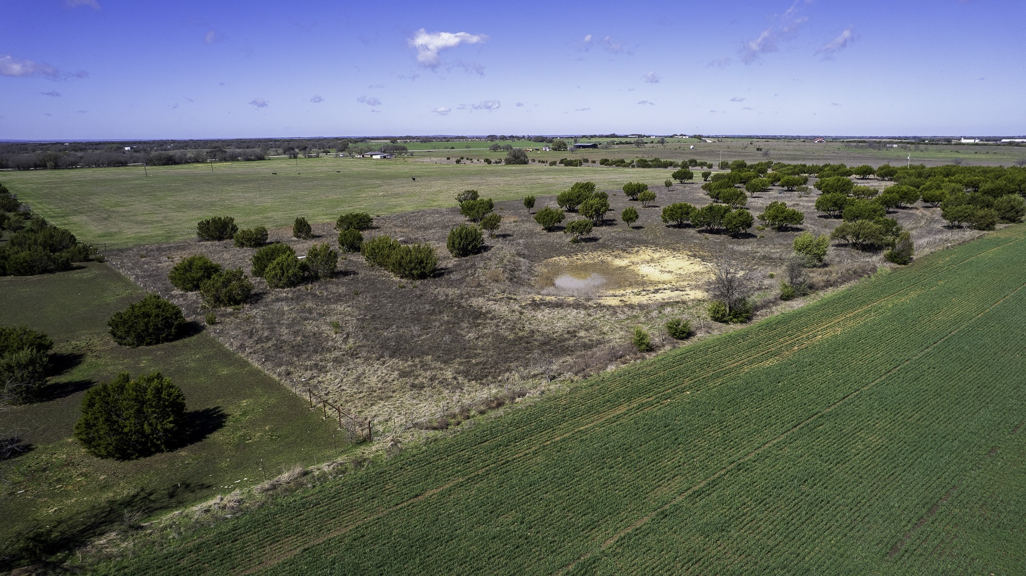 26025 S Fm 219 Dublin TX 76436