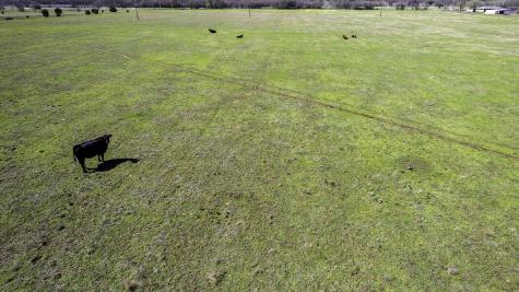 26025 S Fm 219 Dublin TX 76436