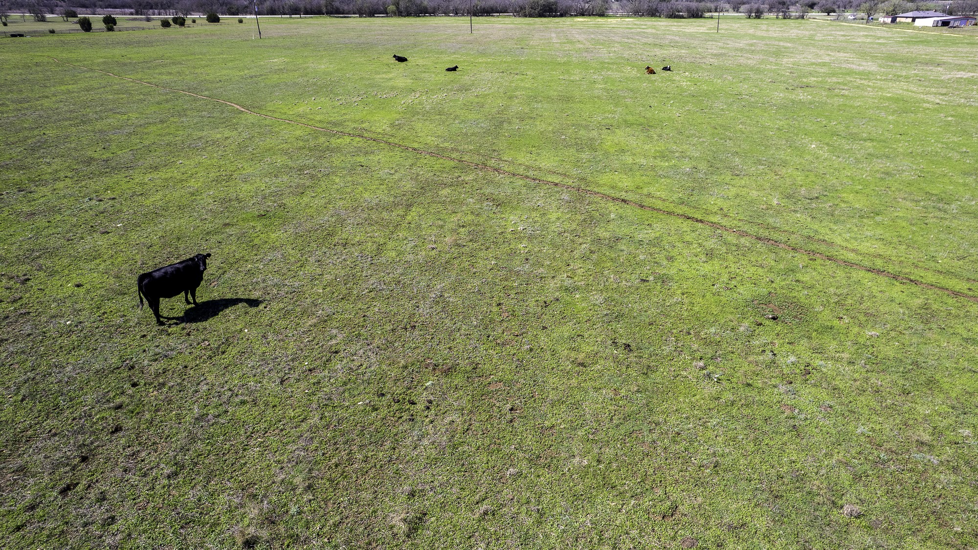 26025 S Fm 219 Dublin TX 76436