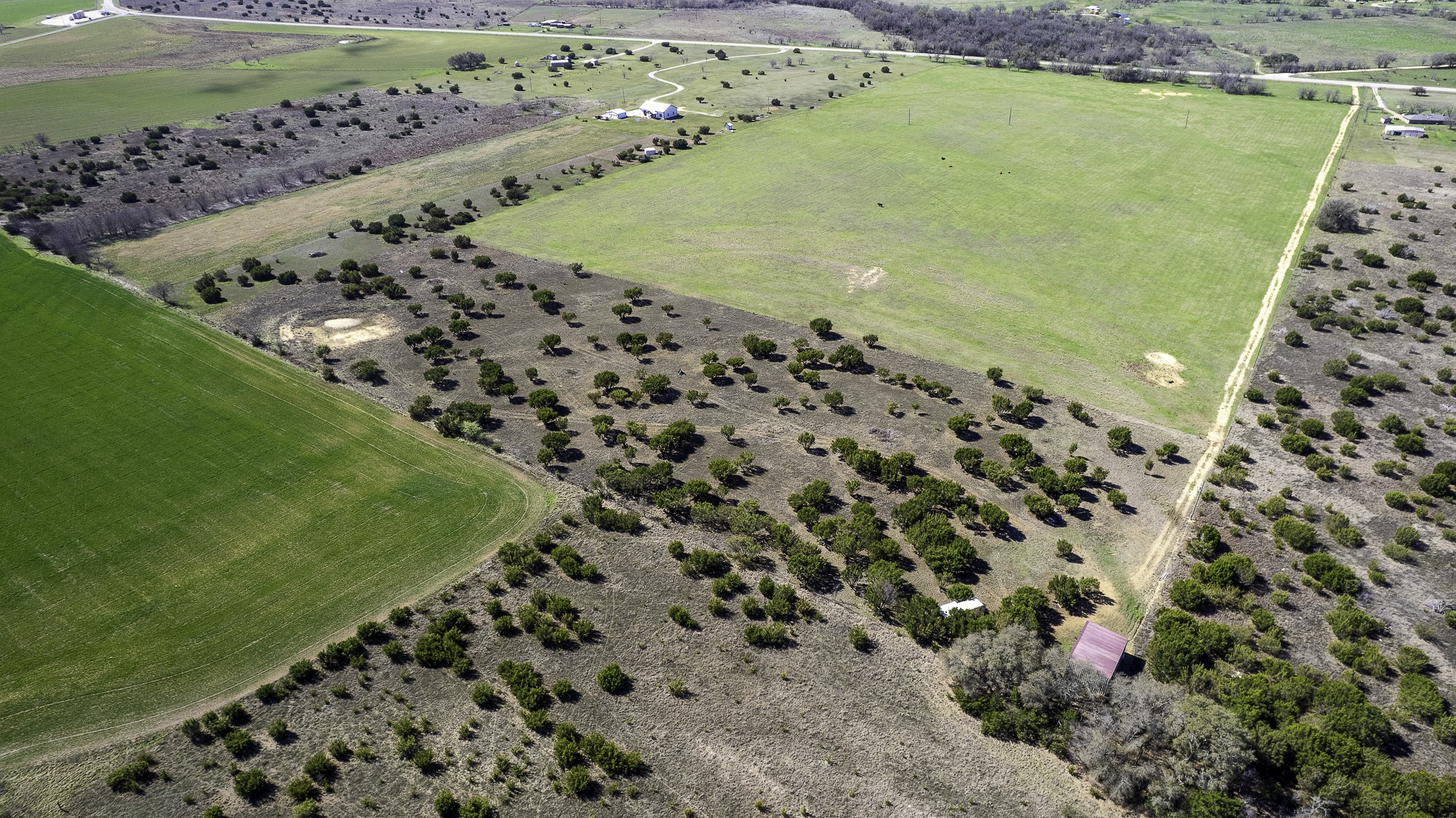 26025 S Fm 219 Dublin TX 76436