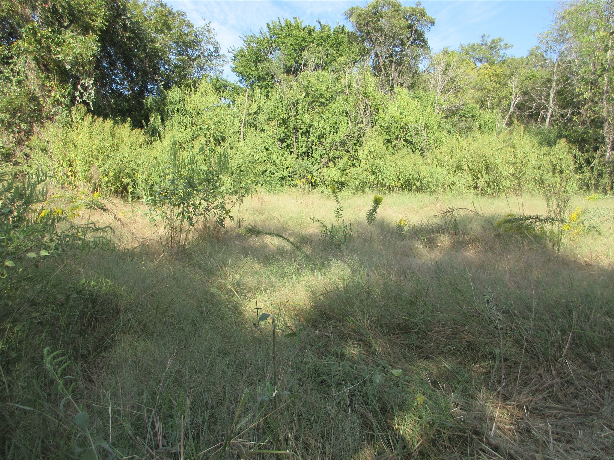 00 Fleming Street Marlin TX 76661