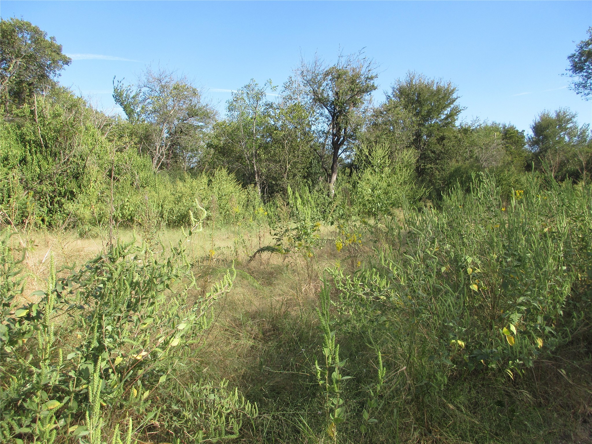00 Fleming Street Marlin TX 76661