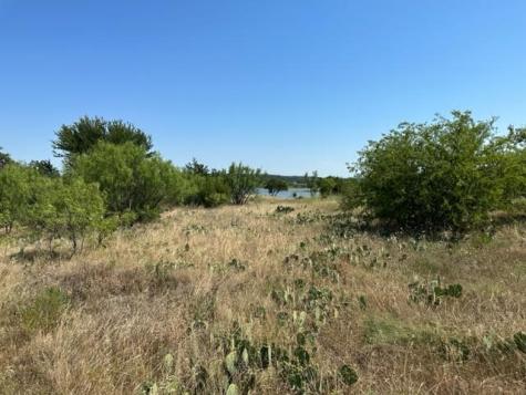 800 S Clear Cove Court Graford TX 76449