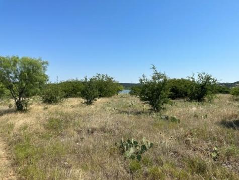 800 S Clear Cove Court Graford TX 76449