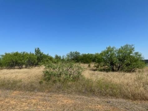 800 S Clear Cove Court Graford TX 76449