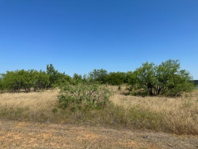 800 S Clear Cove Court Graford TX 76449