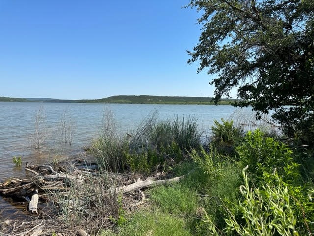 800 S Clear Cove Court Graford TX 76449