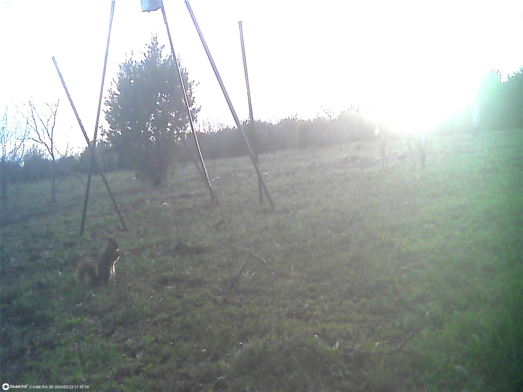 Tbd Highway 16 S San Saba TX 76877