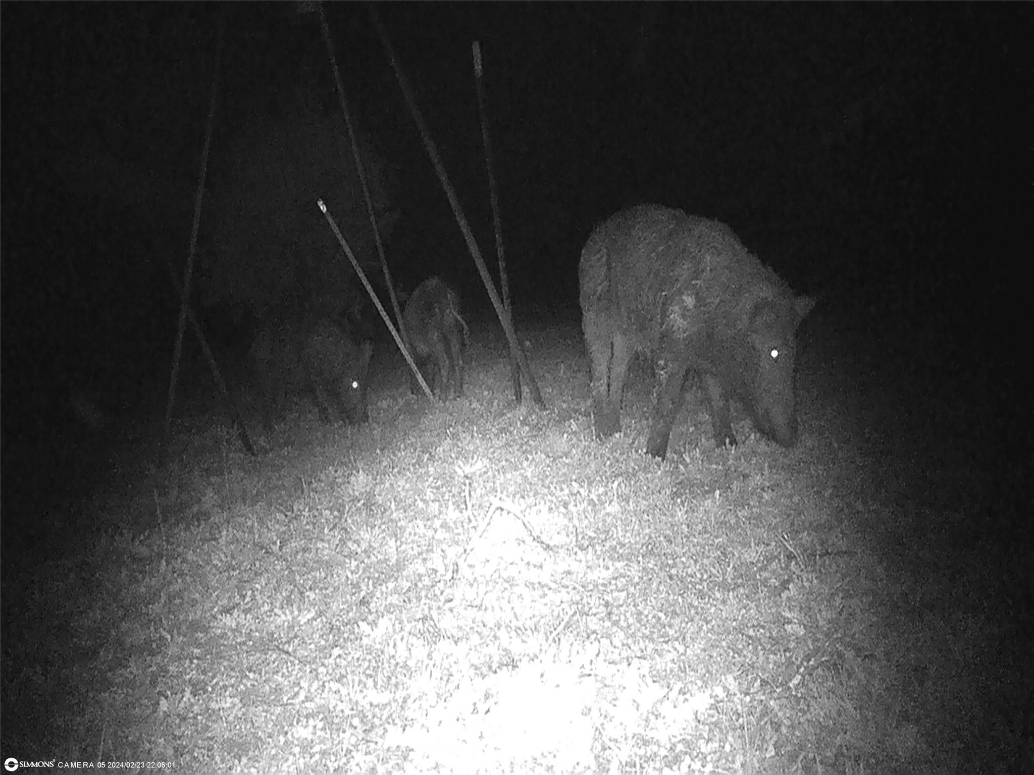 Tbd Highway 16 S San Saba TX 76877