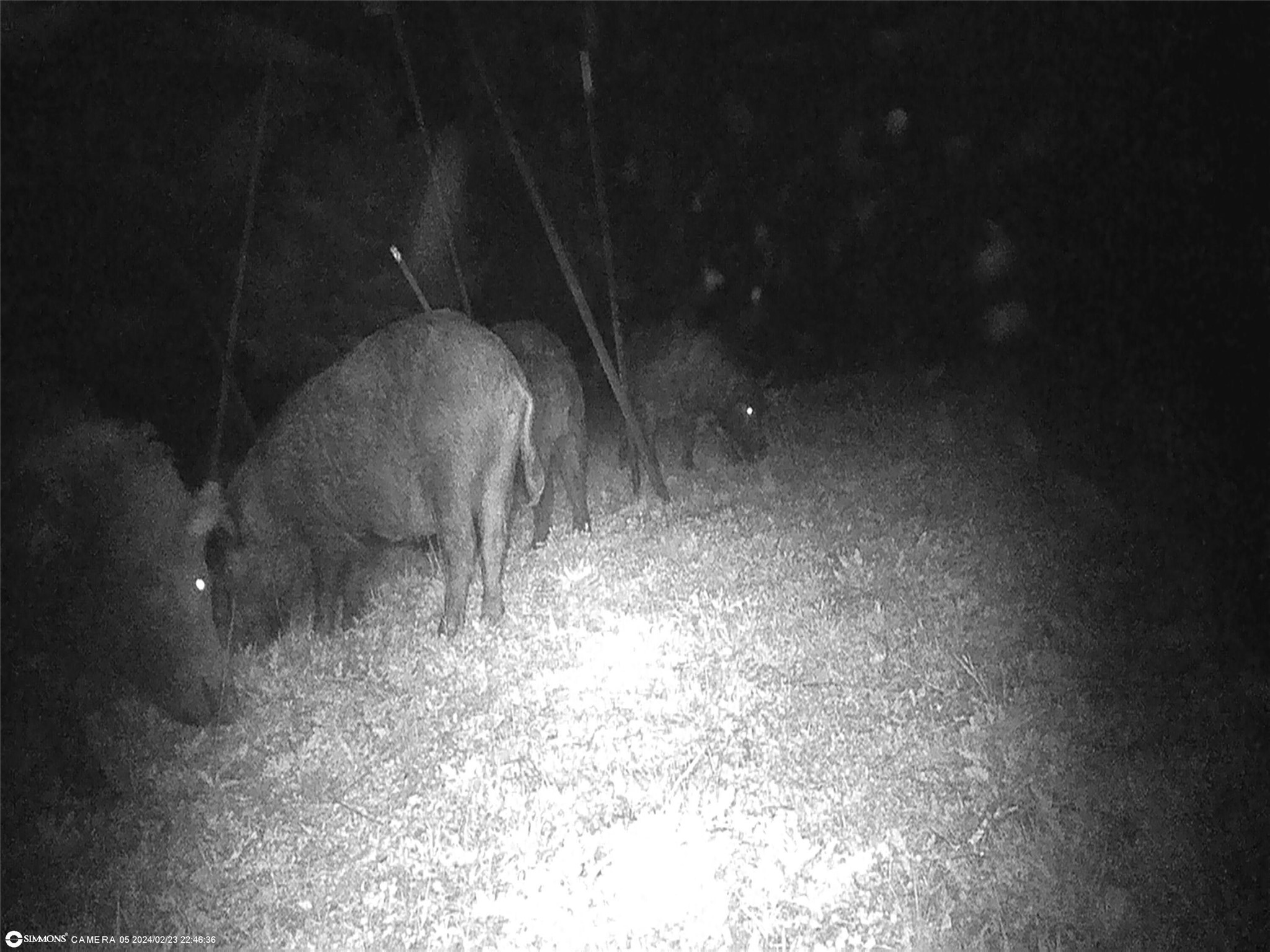 Tbd Highway 16 S San Saba TX 76877