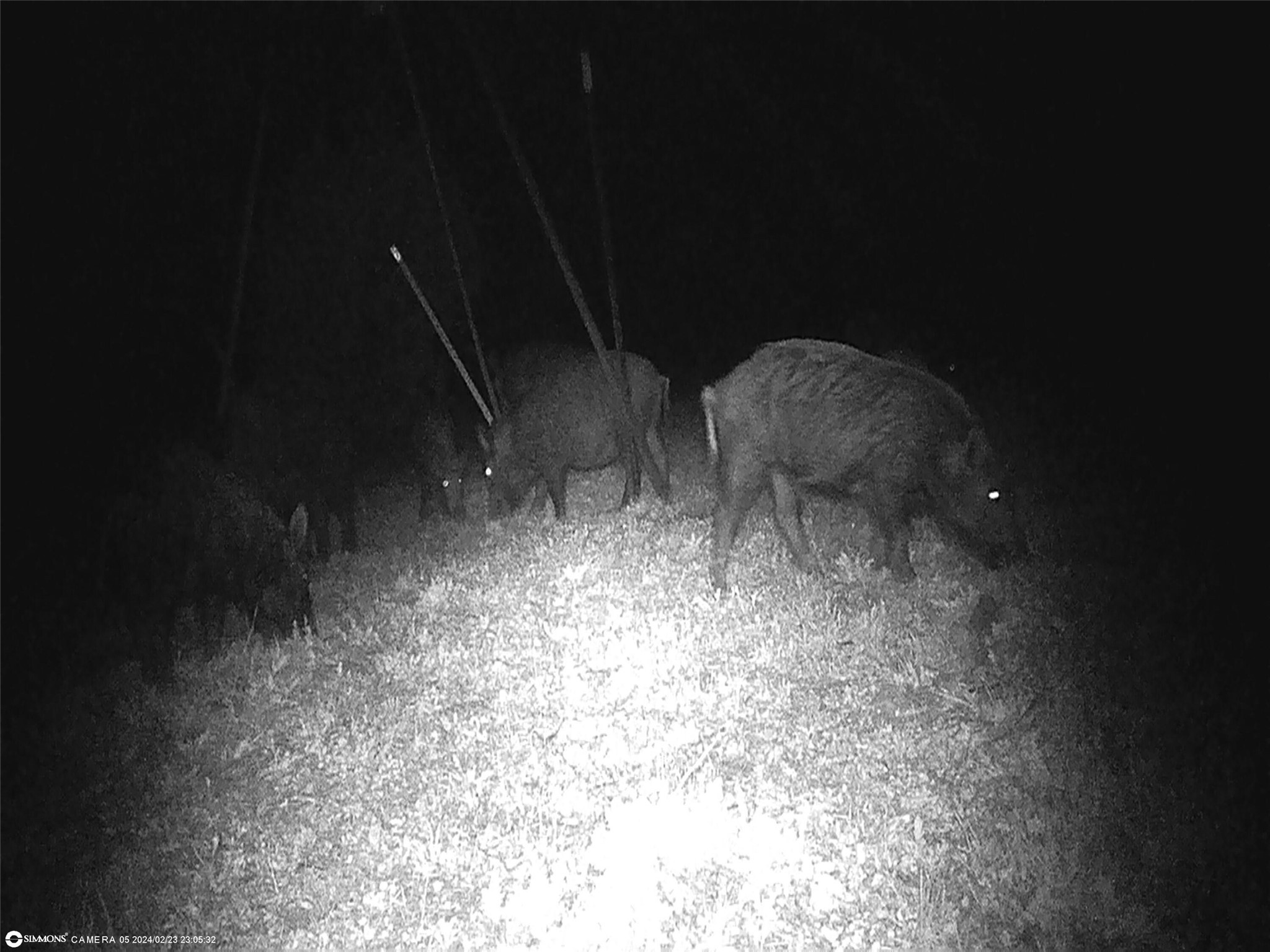 Tbd Highway 16 S San Saba TX 76877