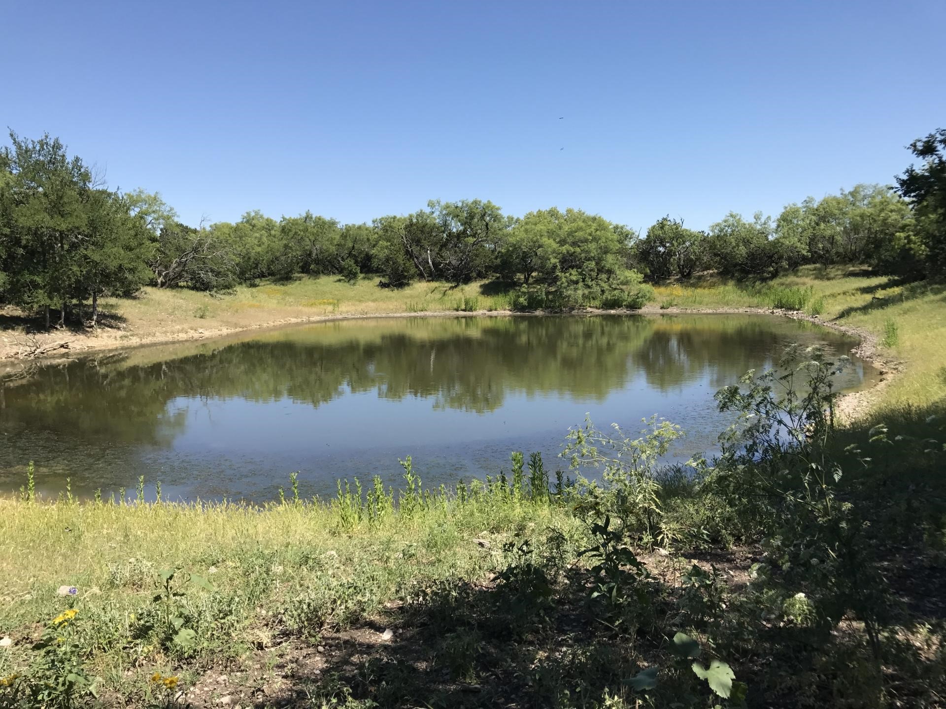 Tbd Highway 16 S San Saba TX 76877