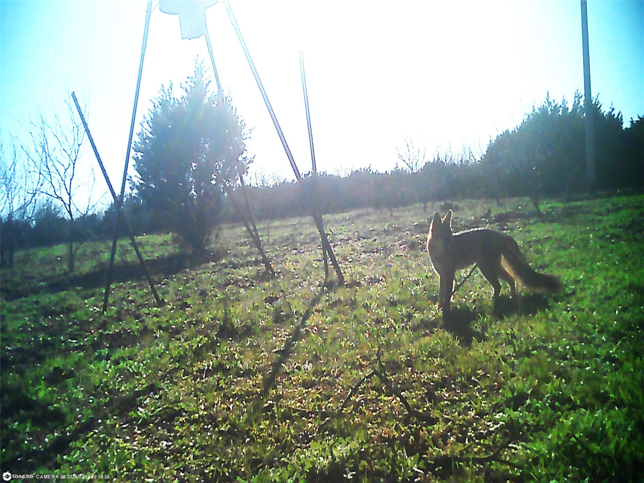 Tbd Highway 16 S San Saba TX 76877