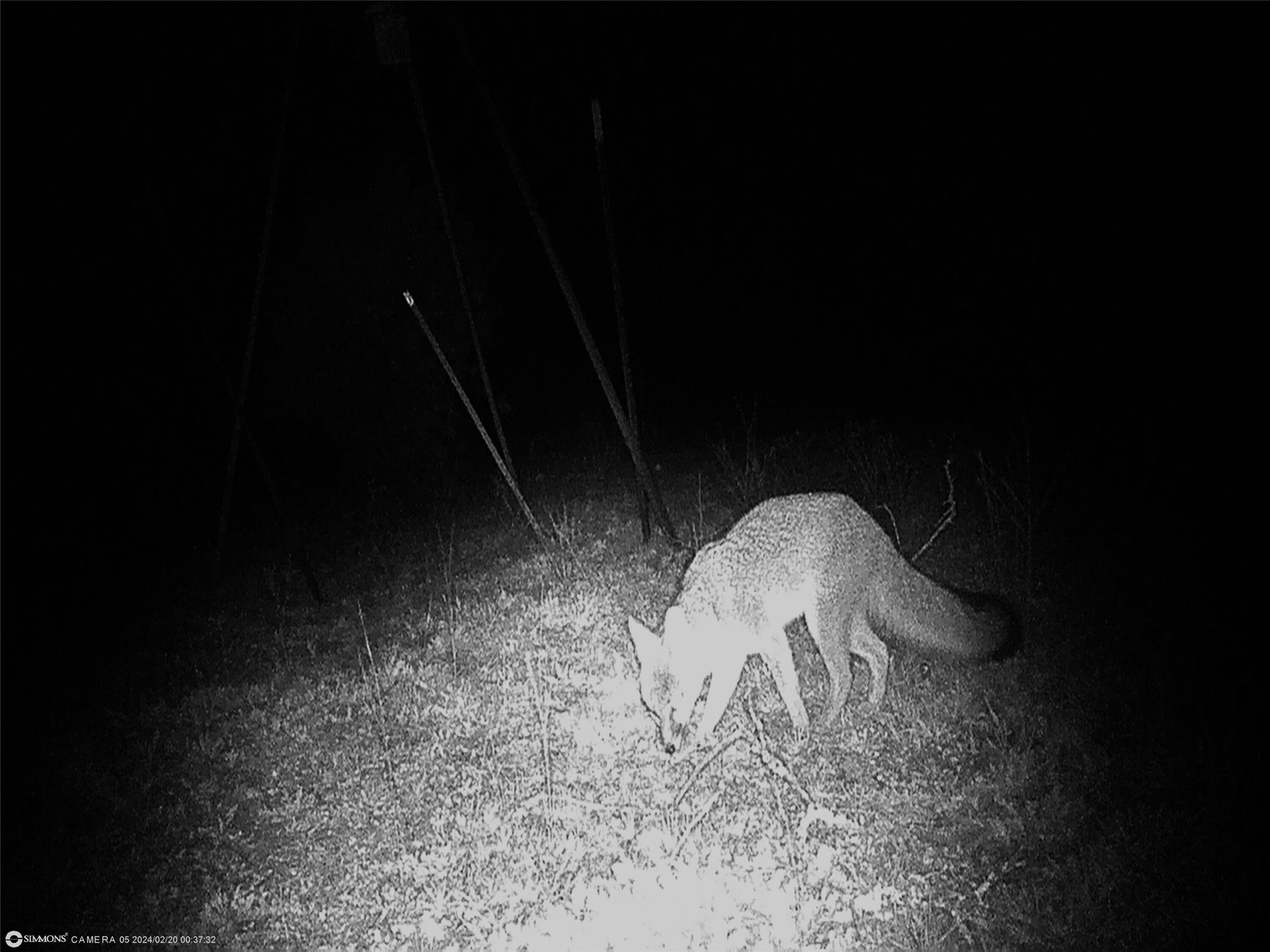 Tbd Highway 16 S San Saba TX 76877