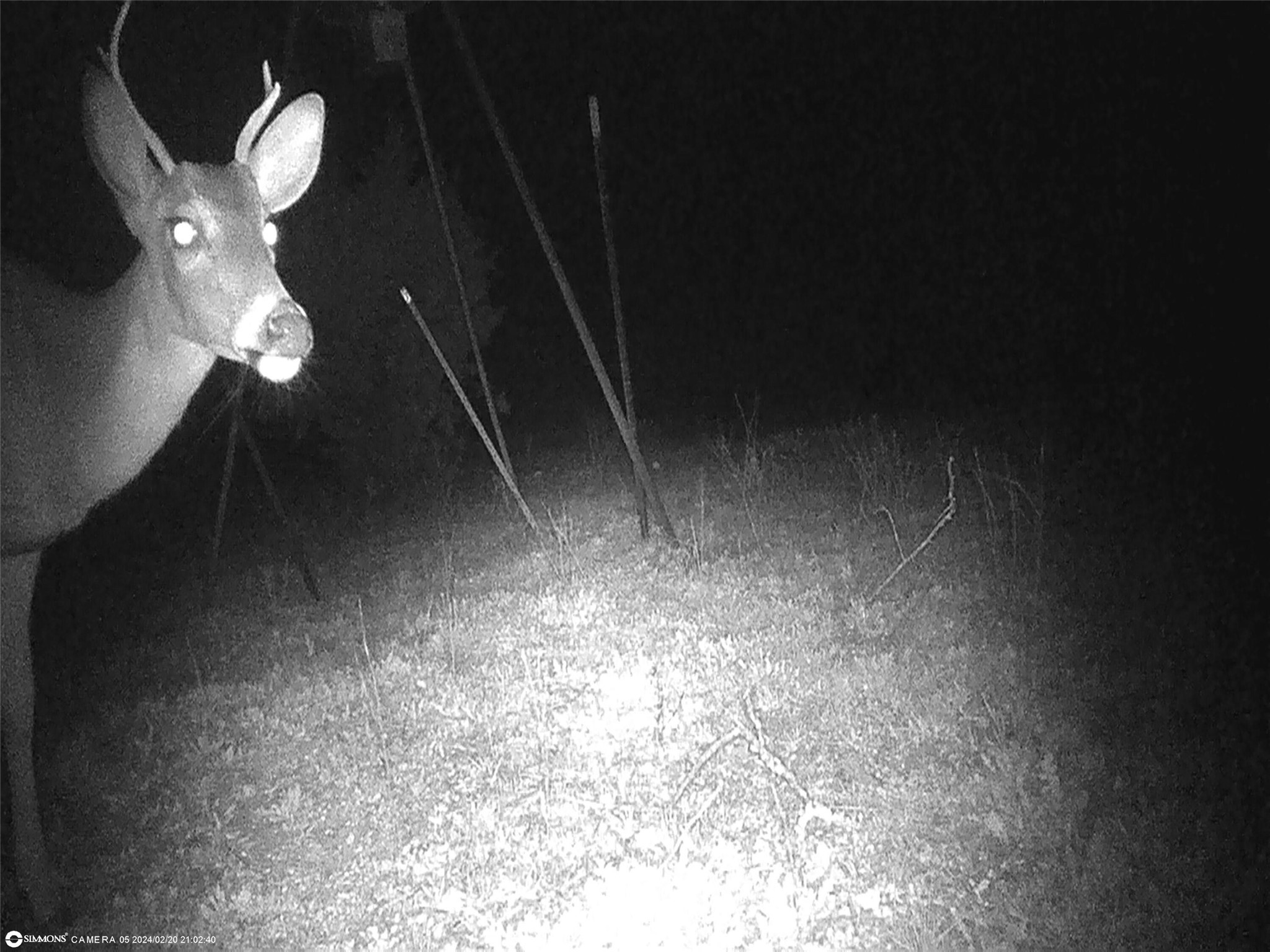 Tbd Highway 16 S San Saba TX 76877