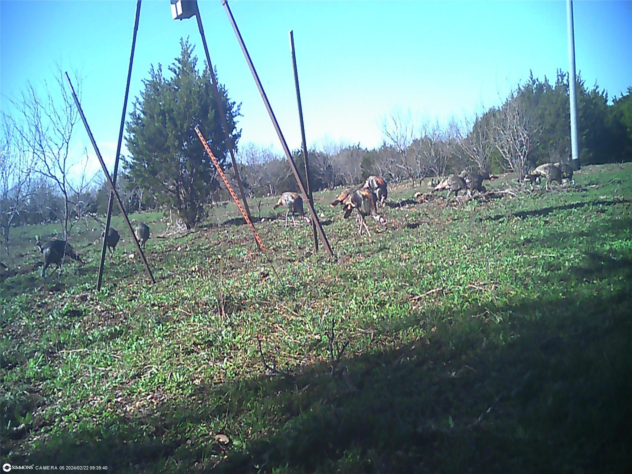 Tbd Highway 16 S San Saba TX 76877