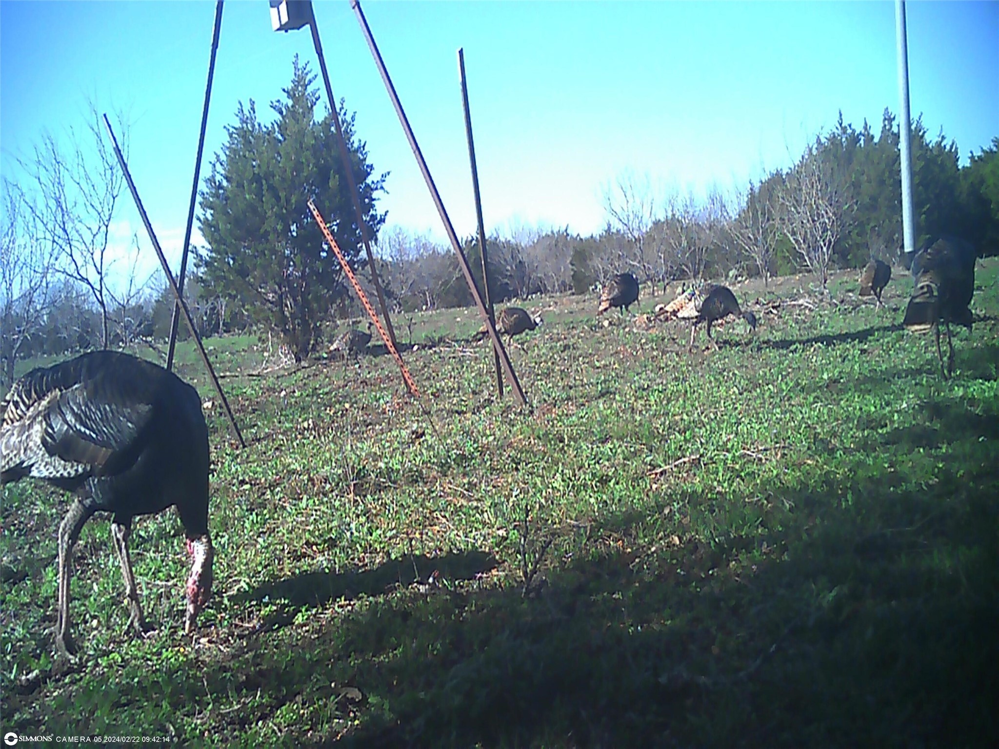 Tbd Highway 16 S San Saba TX 76877